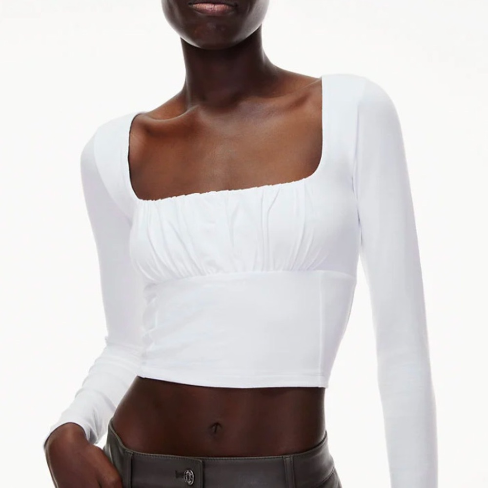 Aritzia Wilfred free orbit long sleeve size XS pale blue